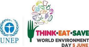 World Environment Day 2013: A third of global food produce doesn't reach people!