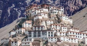 Tibetans' high-altitude skills came via extinct cousin