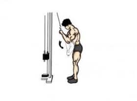 Know your exercise: Triceps cable extensions