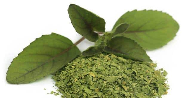 Eat tulsi leaves to beat stress naturally TheHealthSite