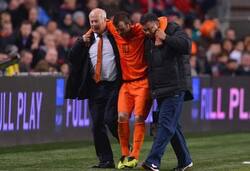 Dutch midfielder Rafael van der Vaart out with an ankle injury