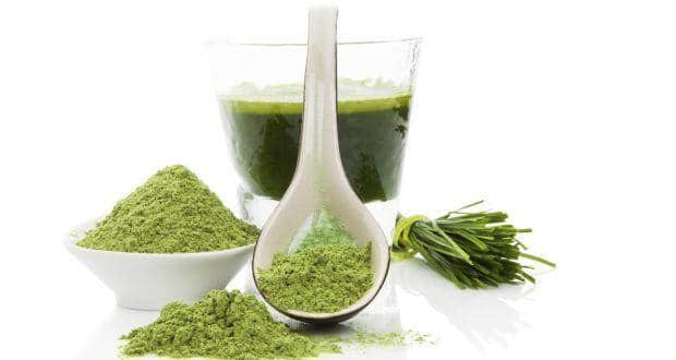 Wheatgrass powder clearance in hindi