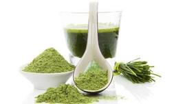 10 reasons wheatgrass should be added to your diet