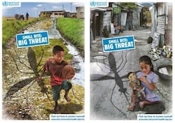 World Health Day 2014: Preventing Vector-borne diseases - 'Small bite, big threat'