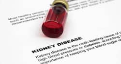 World Kidney Day 2014: 3 good reasons to get a kidney check up done
