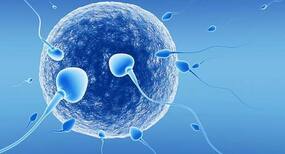 Male Infertility : दो योगासन, जो बढ़ा देंगे पुरुषों में लो स्पर्म काउंट