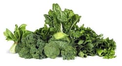 Are you a vegan? You may experience a worse hangover than meat eaters