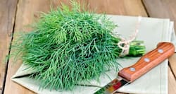 सोआ की पत्तिया खाने के फायदे।