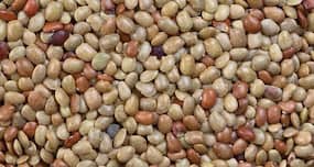 वेट लॉस के लिए खाएं कुलथी।