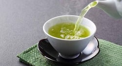 Green tea could help fight tuberculosis