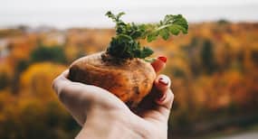 Health Benefits of vegetables Health Benefits of vegetables