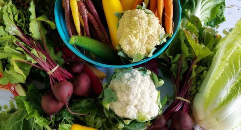 Weight Loss Foods: वेट लॉस के लिए हाई फाइबर और विटामिन वाले खाएं ये फूड्स