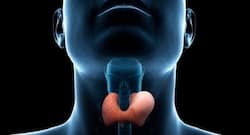 Prevent hypothyroidism with diet modifications