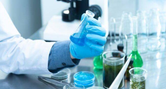 What is the function of insulin and Glyco insulin