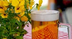 Drinking beer doesn't only give you a beer belly, it's good for your gut, kidney and more