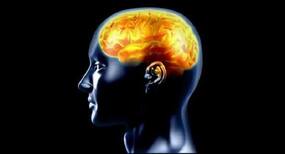 World Brain Day 2020: Types and symptoms of brain disorders