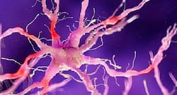 Natural remedies to heal nerve damage and reduce pain