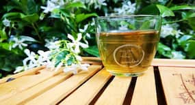 Green Tea For Weight Loss