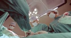 Researchers find a better way to deal with organ transplant rejection