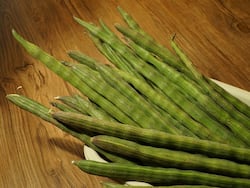 मोरिंगा के फायदे, ड्रमस्टिक खाने के लाभ, सहजन के फायदे