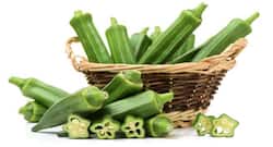 डायबिटीज़ में भिंडी का सेवन करने के फायदे।