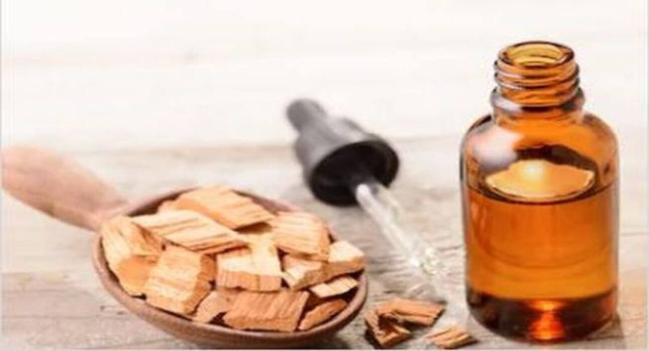 Sandalwood Benefits : त्वचा पर लगाएंगे चंदन का फेसपैक, तो होंगे ये 4 अद्भुत फायदे