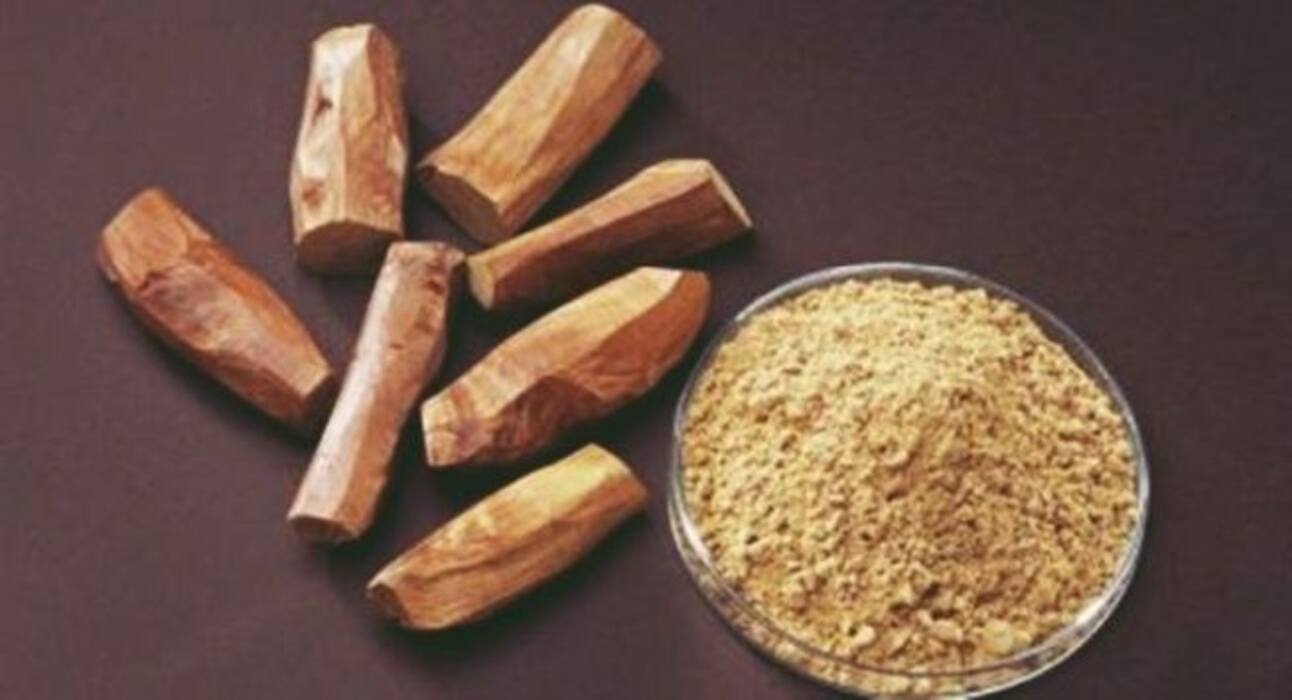 Sandalwood Benefits : त्वचा पर लगाएंगे चंदन का फेसपैक, तो होंगे ये 4 अद्भुत फायदे