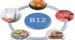 विटामिन बी12 की कमी होने पर शरीर में होते हैं ये 5 बदलाव