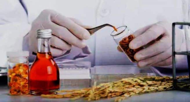 Rice Bran Oil Benefits In Hindi