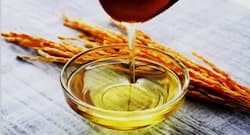 Rice Bran Oil Benefits And Side Effects In Hindi