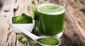 Bizarre: Pond scum can be your crusader against cholesterol