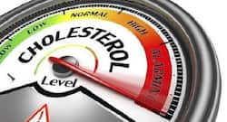 Get your cholesterol levels under control for a healthy life