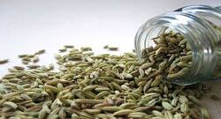 सौंफ खाने के फायदे और नुकसान
