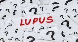 Lupus rashes harbour high levels of bacterial infections