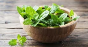 चेहरे के लिए पुदीना के फायदे