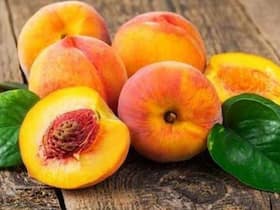 Aadu Or Peach Benefits In Hindi : वजन कम करने के लिए खाएं आड़ू, आड़ू खाने के अन्य फायदे भी जानें