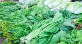Spinach Benefits in Hindi, पालक का साग खाने के फायदे