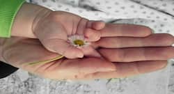 सीजेरियन डिलीवरी के बाद हेल्दी होने के टिप्स