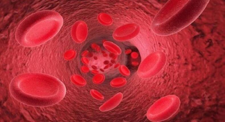 Coronavirus update: How does COVID-19 impact different organs of your body?