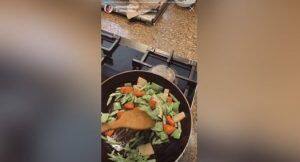 stir-fried tofu