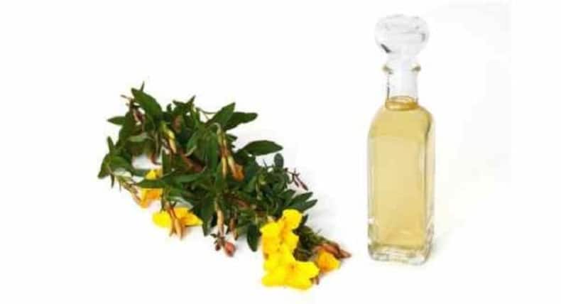 The health benefits of these medicinal plants will surprise you