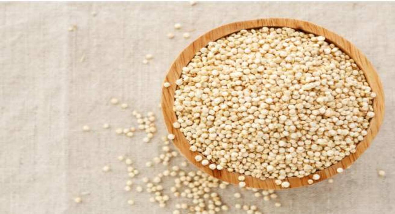 5 best plant-based protein foods for vegans and vegetarians