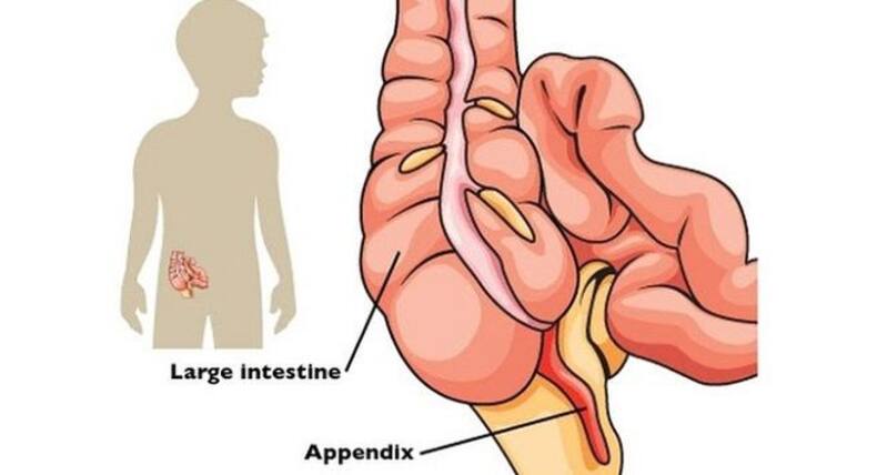 5 most common misconceptions about our bodies