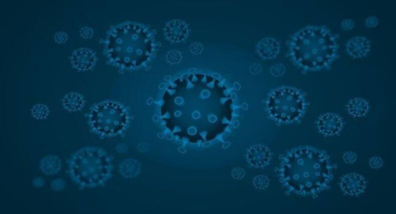 Coronavirus update: How does COVID-19 impact different organs of your body?