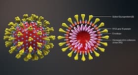 Coronavirus update: World is in an uncharted territory, says WHO, but be safe by following preventive measures