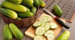 Weight loss: Add cucumber to your diet to shed your extra kilos
