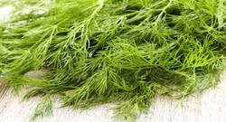 सोआ के पत्ते खाने के फायदे।