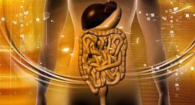 Foods for Good Digestion in Hindi: पाचन शक्ति को मजबूत बनाने वाले 4