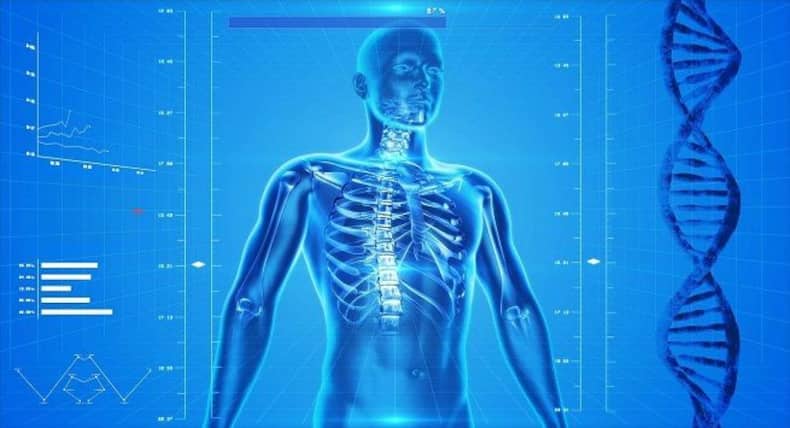 5 most common misconceptions about our bodies