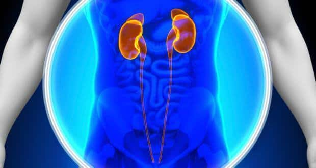 World Kidney Day 2020: A reality check on renal facts